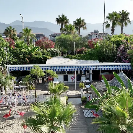 Blue Wave מלון 4*