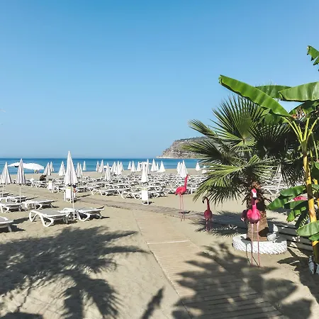 Blue Wave Alanya